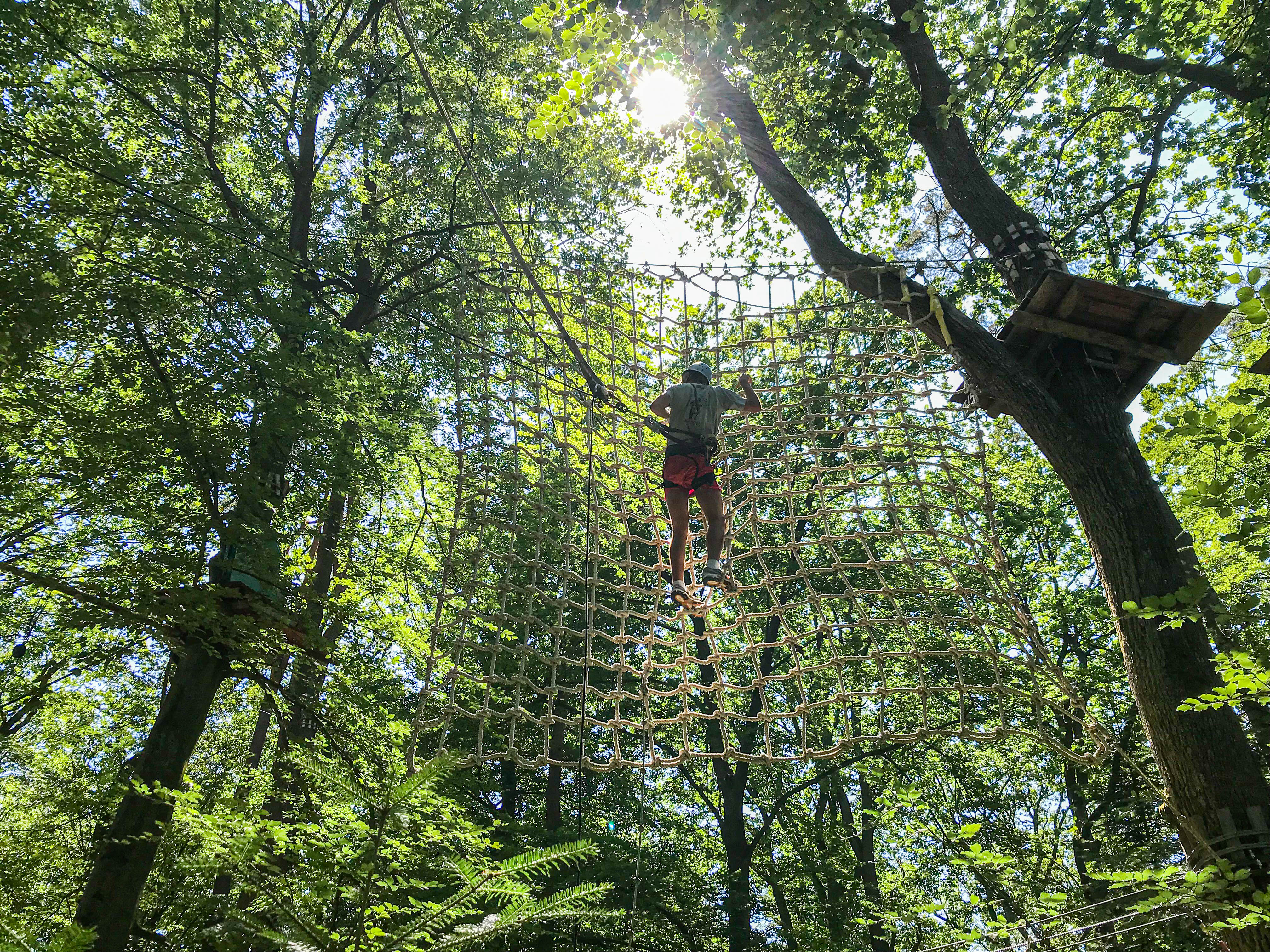 man in a net between trees